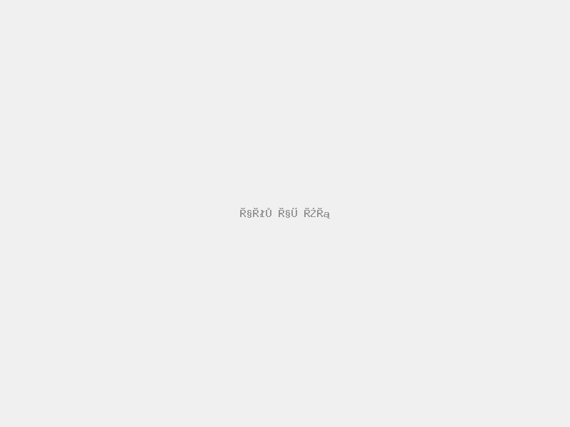 محصولات متنوع کارمونه - بازار چندفروشندگی